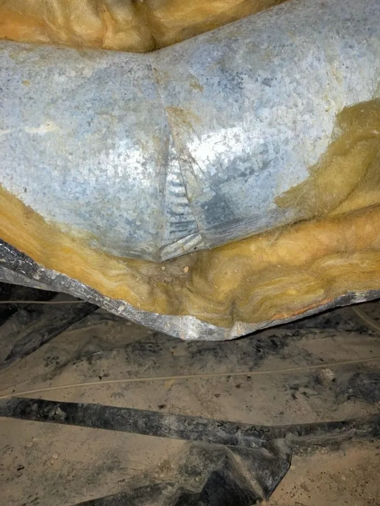 Top-rated drain cleaning service in Haleyville, AL - Home Town Repair