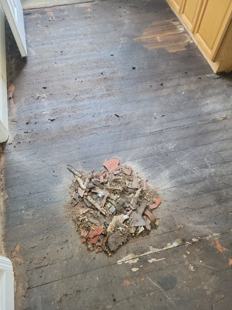 Slide of Homero Electric Service