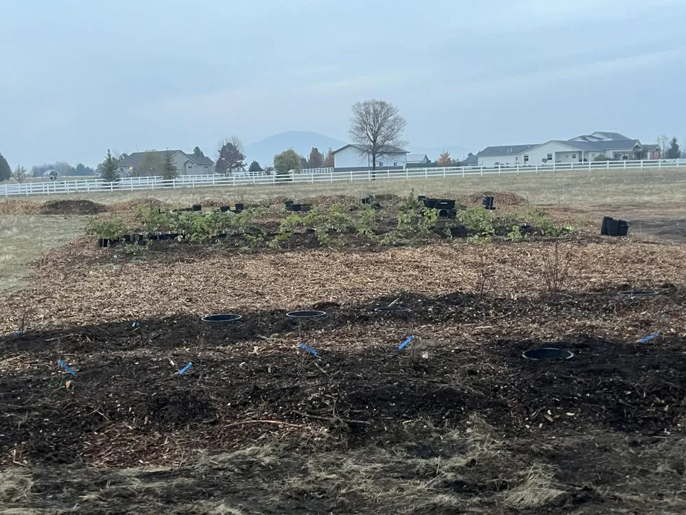 Slide of Hometown Handyman