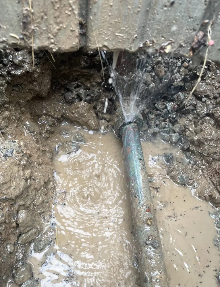 Slide of Hometown Leak Detection