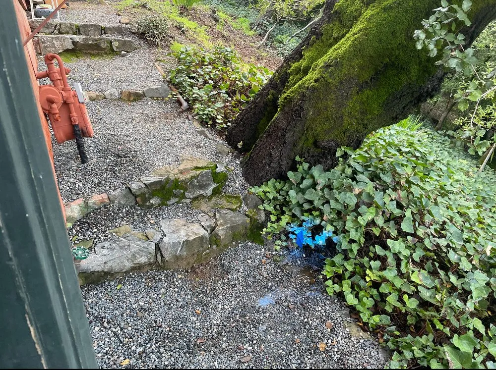 Slide of Hometown Leak Detection