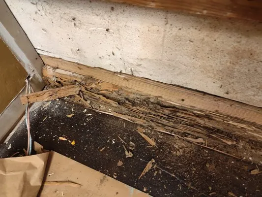 Hometown Services Logo