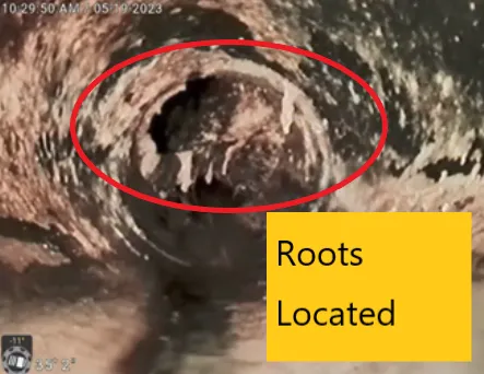 Slide of Homz Inspection