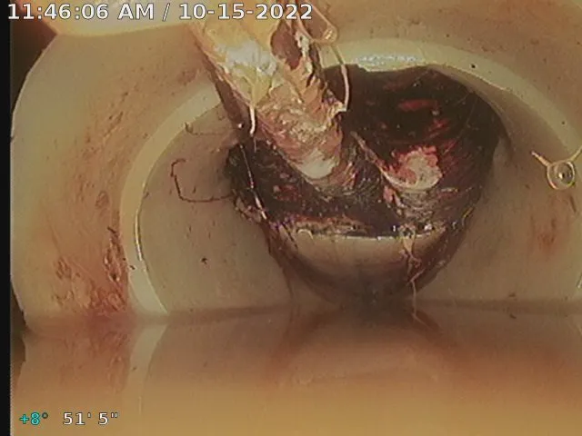 Slide of Homz Inspection