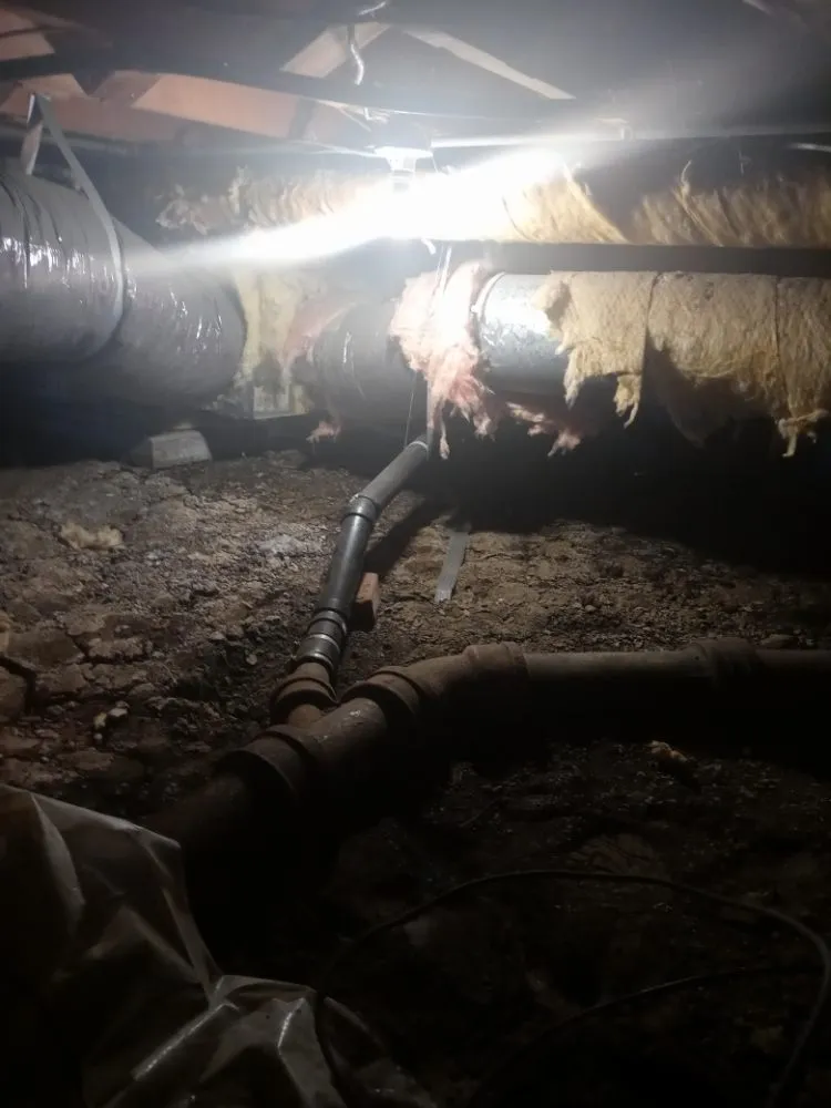 Slide of Honest Plumbing & more