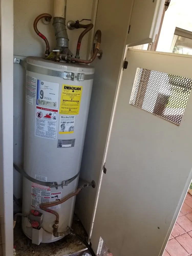 Slide of Honey Bee Husband for Hire