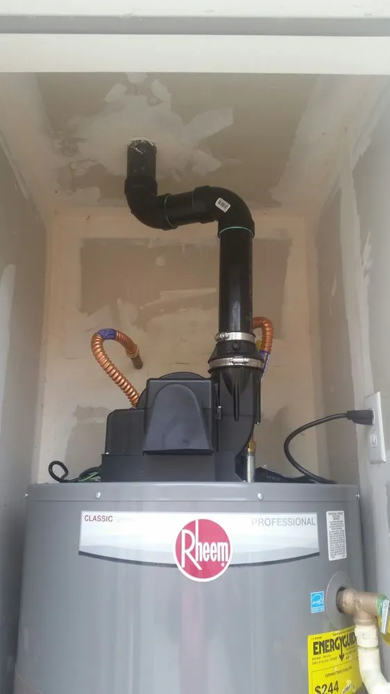 Slide of Honey Bee Husband for Hire