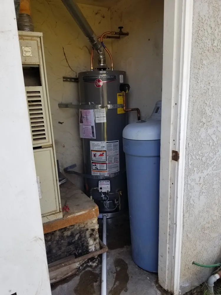 Slide of Honey Bee Husband for Hire