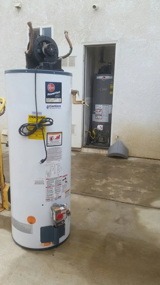 Slide of Honey Bee Husband for Hire