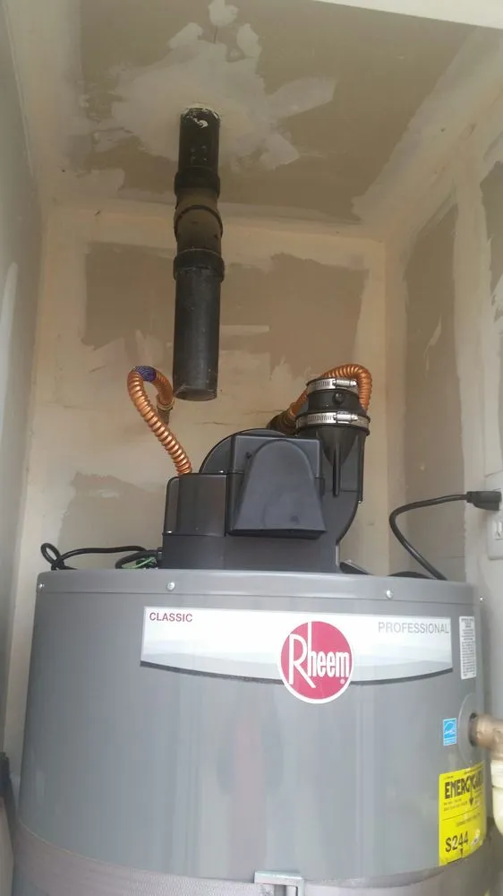 Slide of Honey Bee Husband for Hire