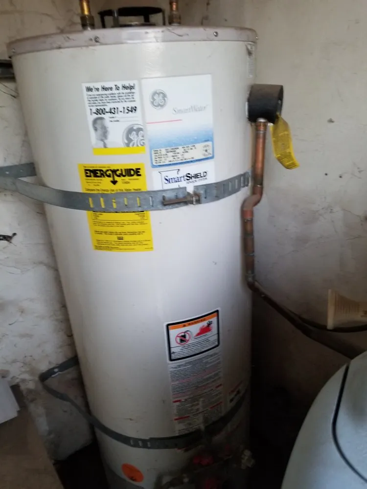 Slide of Honey Bee Husband for Hire