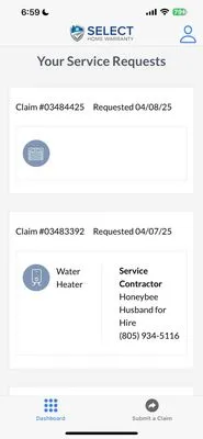 Honey Bee Husband for Hire