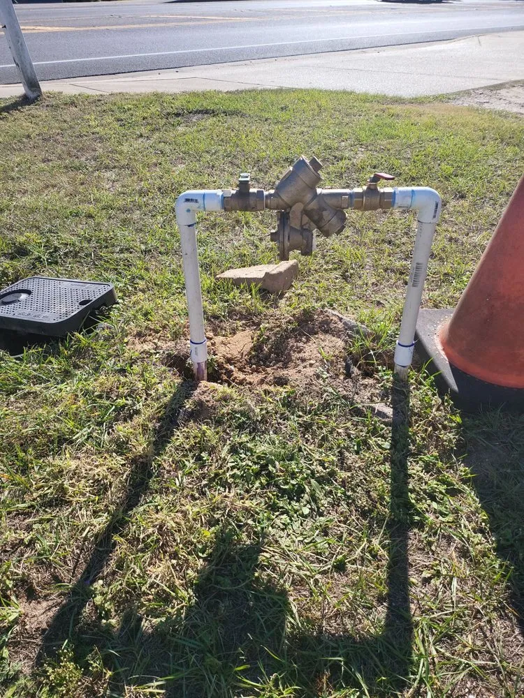 Slide of Honey Bee Plumbing