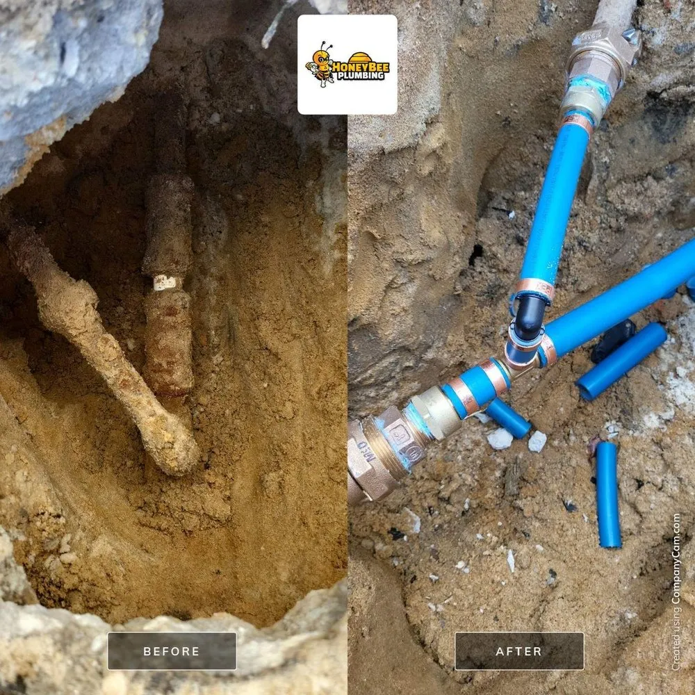 Slide of Honey Bee Plumbing