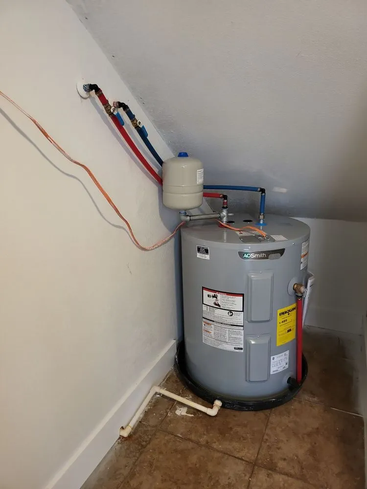 Slide of Honey Bee Plumbing