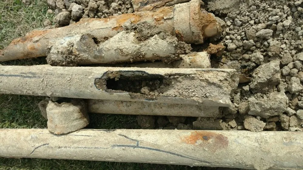 Slide of Honey Dippin Septic