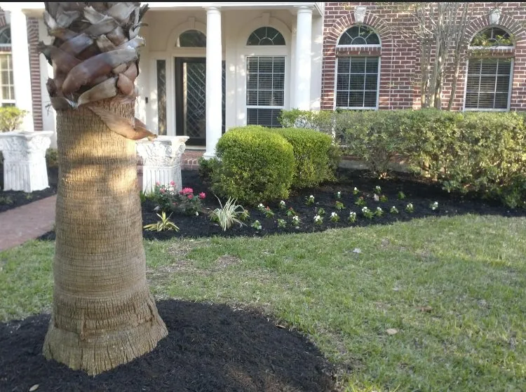 Slide of Honey Do List