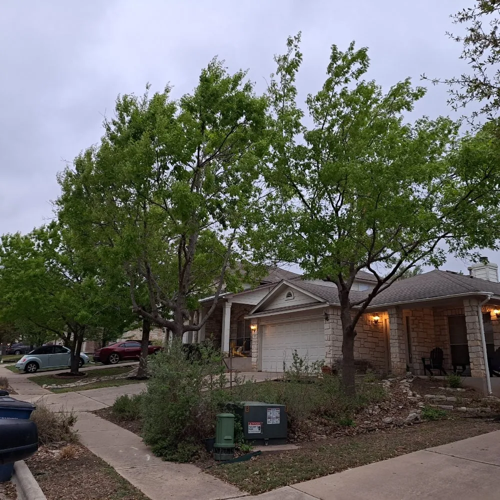 Slide of Honey Do Services