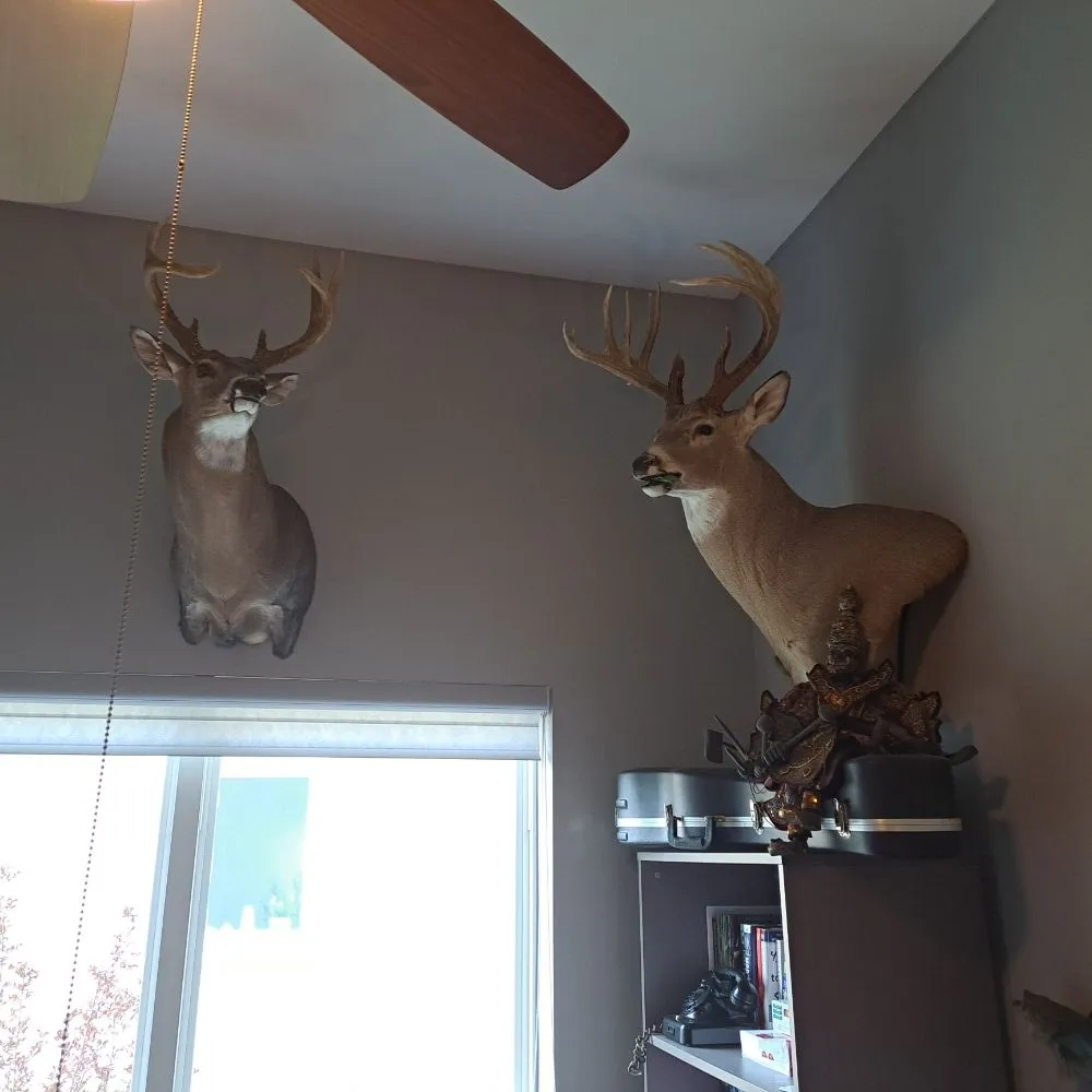 Slide of Honey Do Services