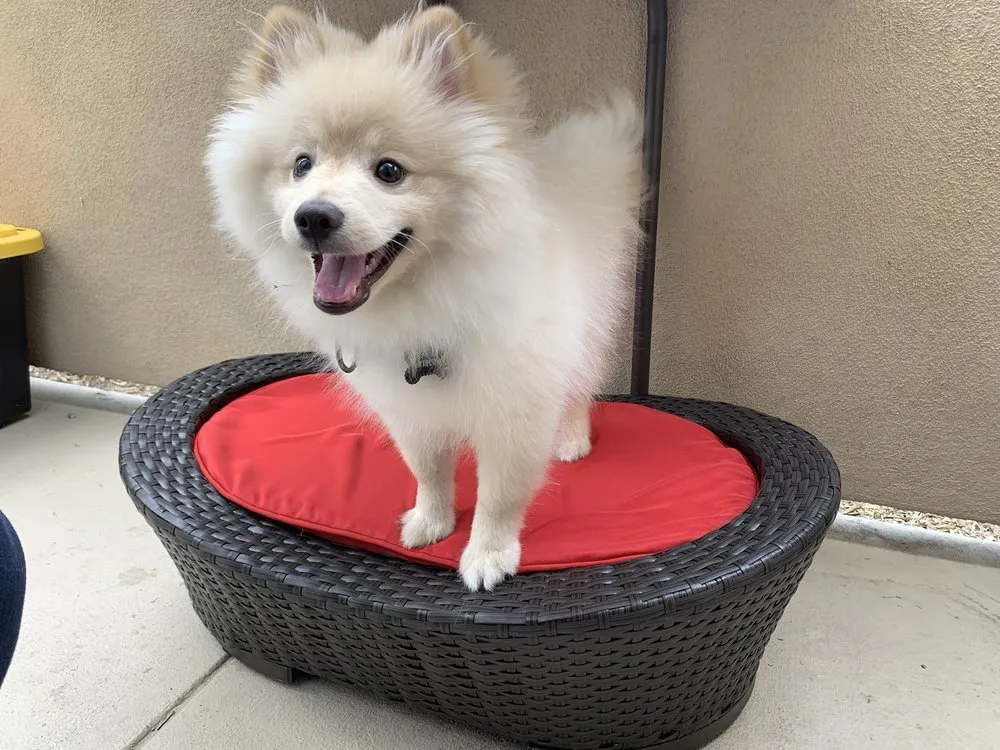 Slide of HoneyDo Plumbing