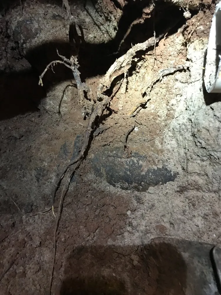 Slide of Hope Plumbing