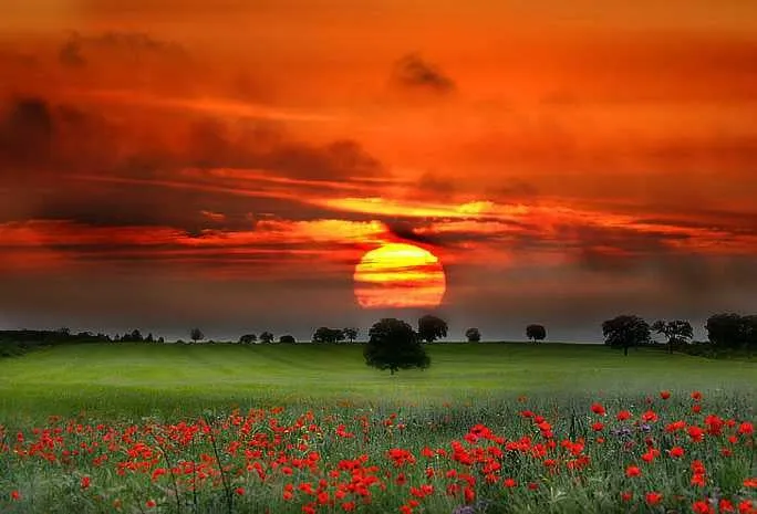 Slide of Horizon Plumbing