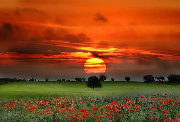 Horizon Plumbing Logo