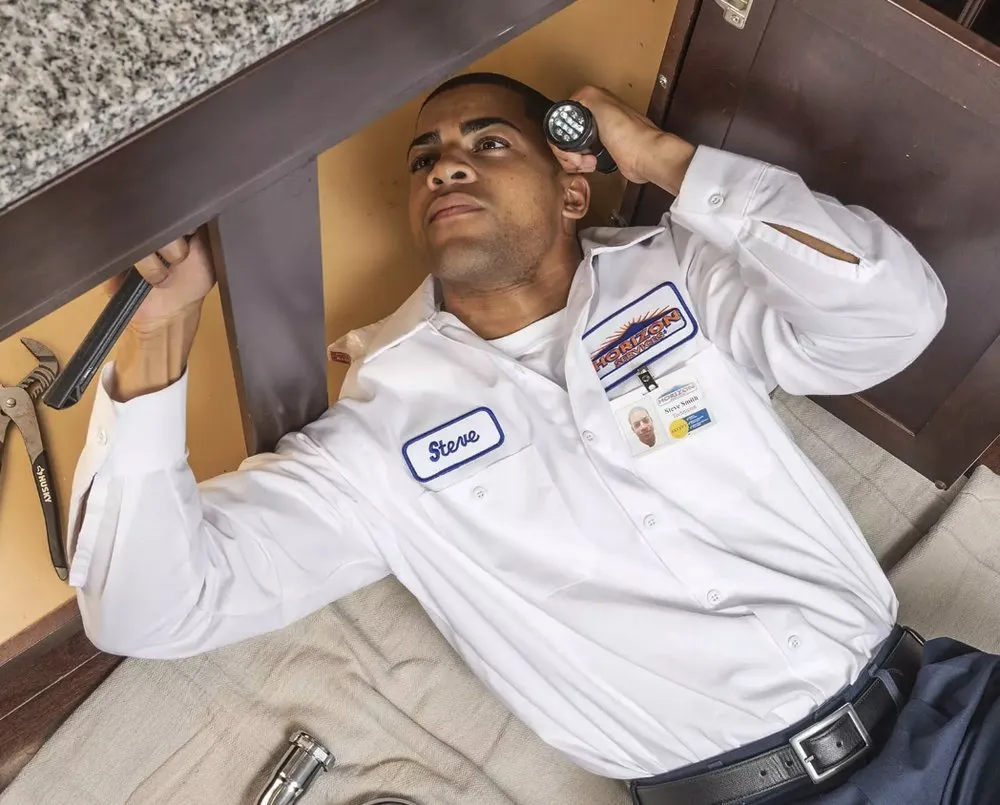 Slide of Horizon Services