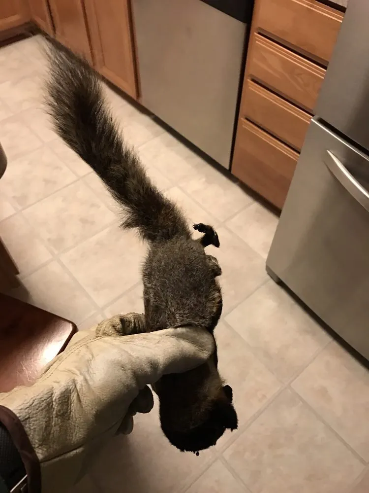 Slide of Horizon Services