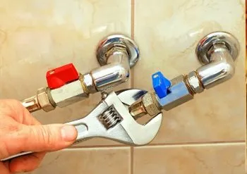 Hornets Plumbing Logo