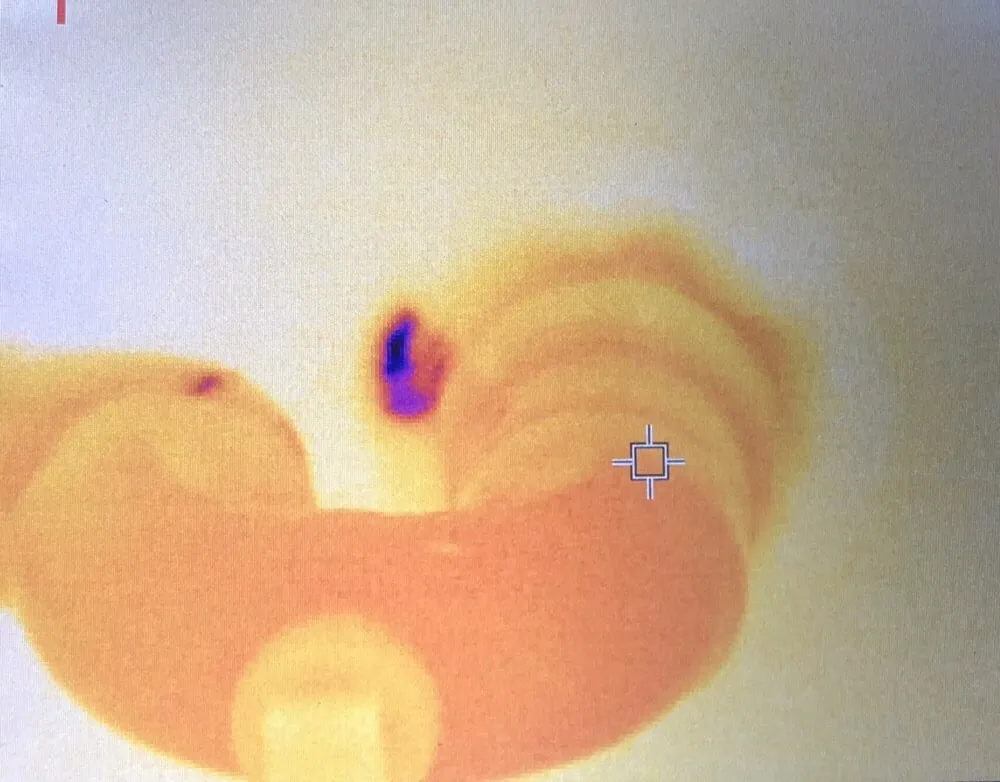 Slide of Horn's Backflow & Plumbing Service