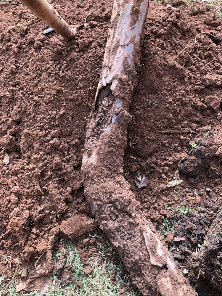 Slide of Hosanna Plumbing