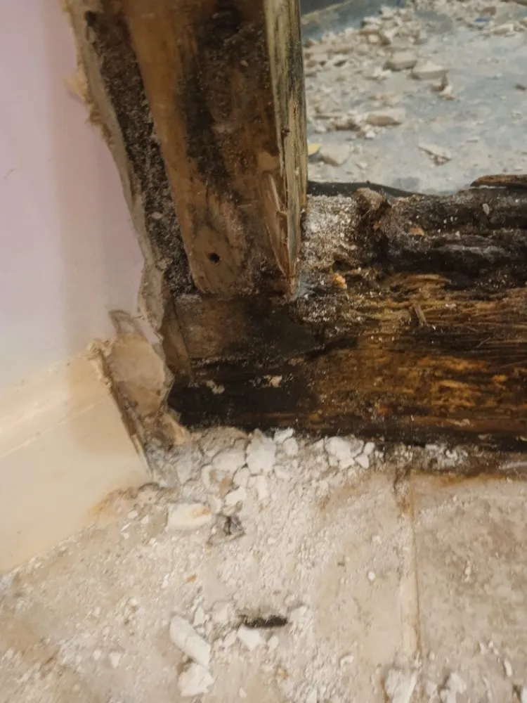 Slide of H.o.S.S. - Hammered or Screwed Services