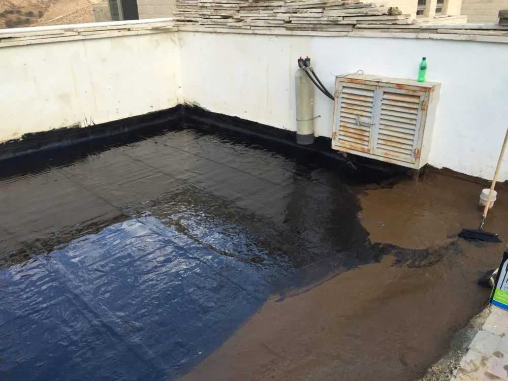 Slide of Hot Mop King