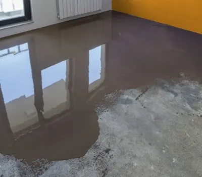 Slide of Hot Mop King