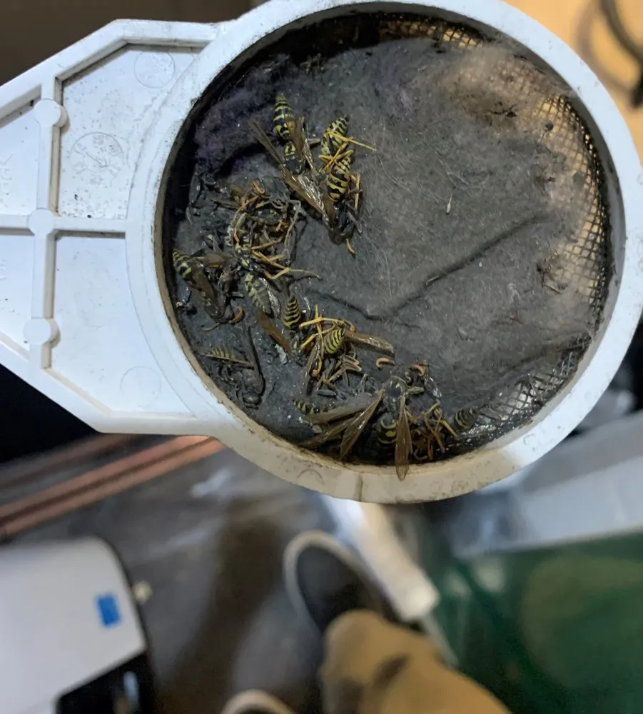 Slide of Hot Water Now