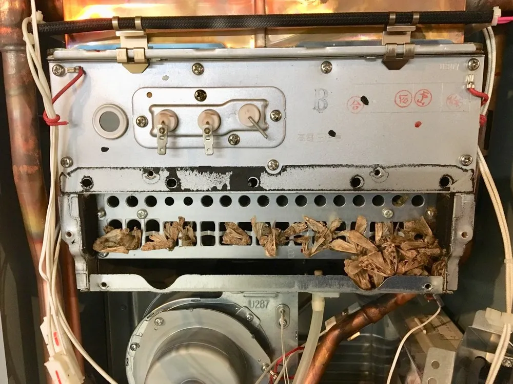 Slide of Hot Water Now