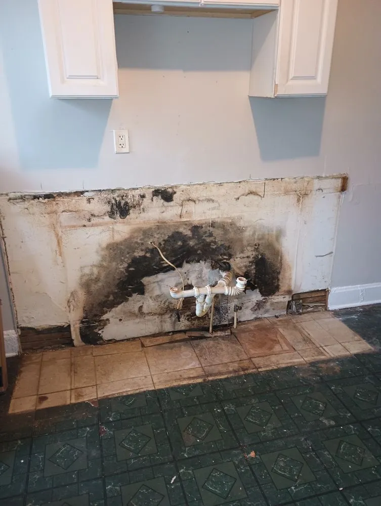 Slide of House Doctor