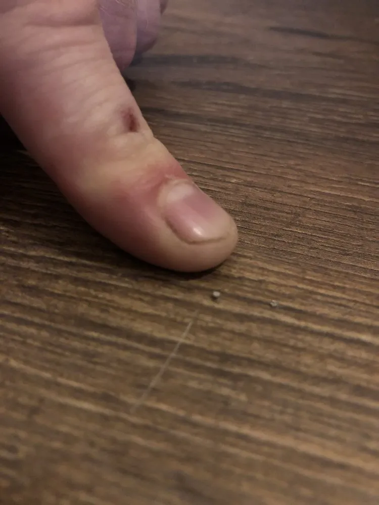 Slide of House Healers