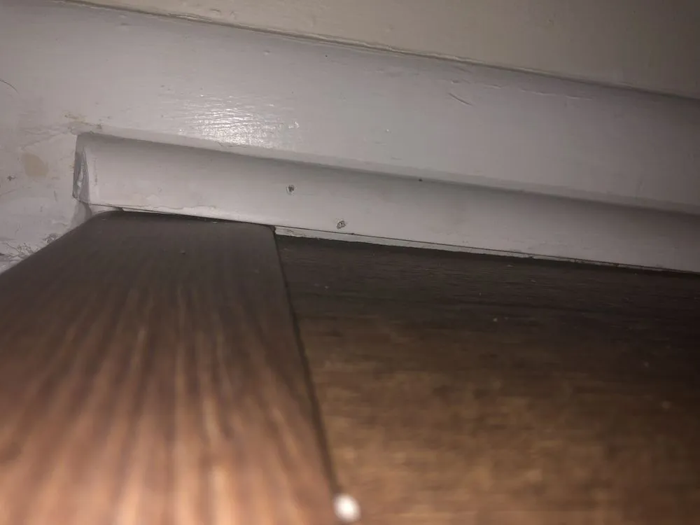 Slide of House Healers