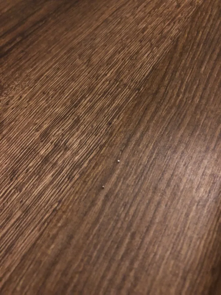 Slide of House Healers