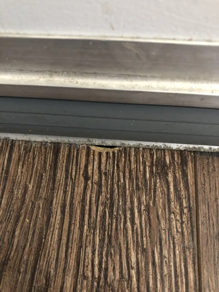 Slide of House Healers