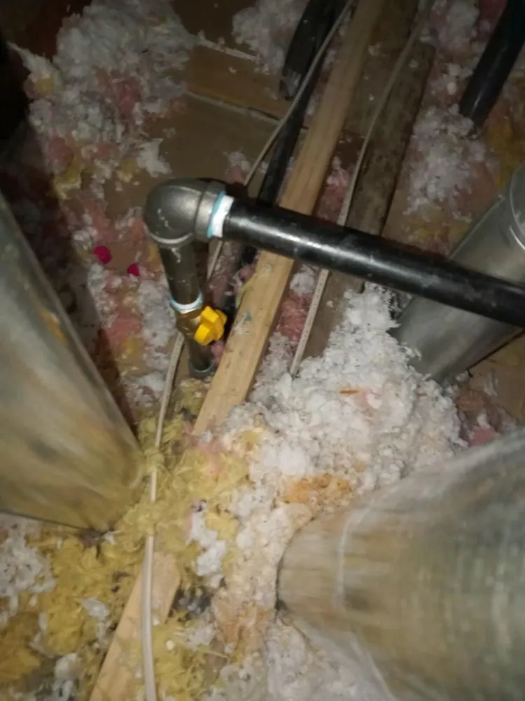 Top-rated leak detection service in Houston, TX - Houston Texas Plumbing Gold Stars