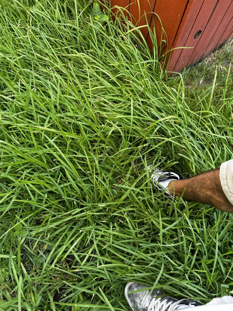 Slide of Houston's Handy Hero