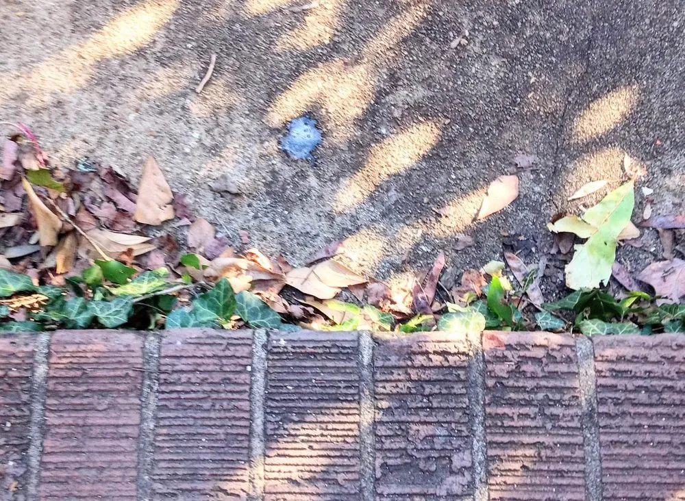 Slide of Hoyle Plumbing