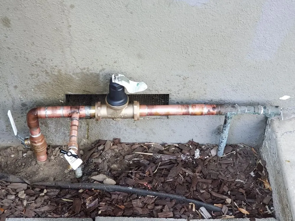 Slide of Hoyo Rooter