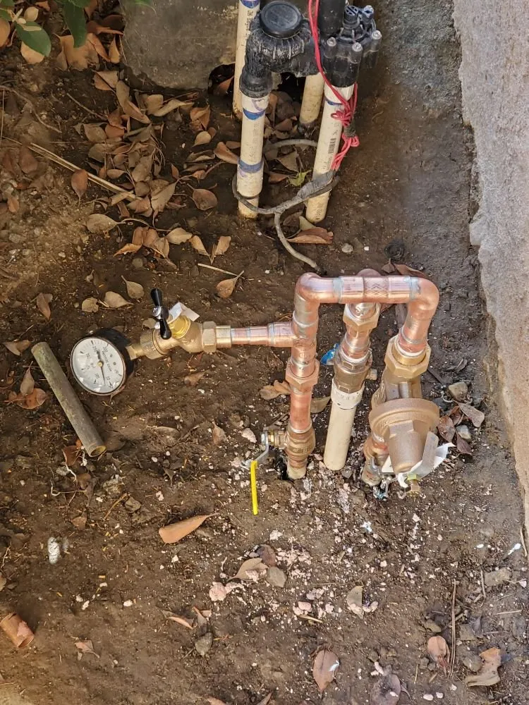 Slide of Hoyo Rooter