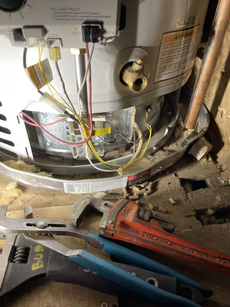 Slide of Hoyo Rooter