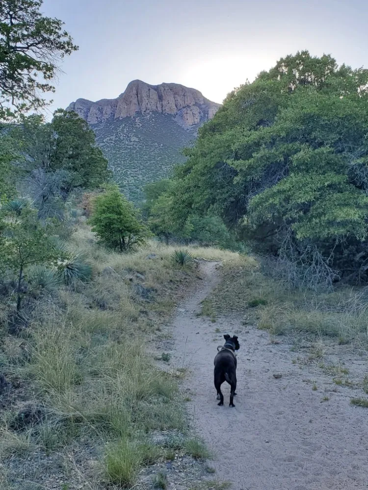 Slide of Huachuca Mountain Handyman Services