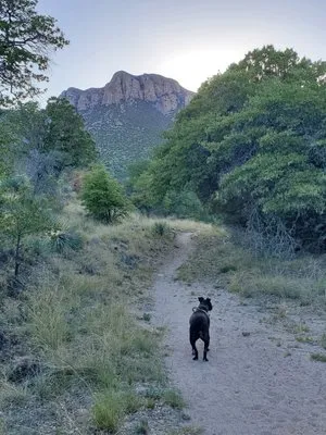 Huachuca Mountain Handyman Services Logo